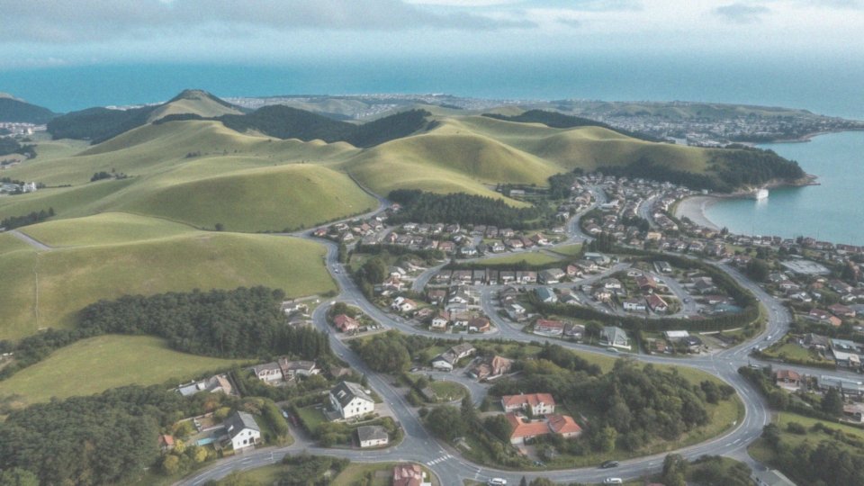 Jak wygląda struktura przedmieść Wellington?