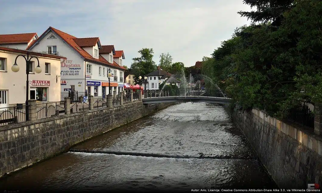 Webinarium CEDUR na temat cyberbezpieczeństwa – zaproszenie dla mieszkańców Polanicy-Zdroju