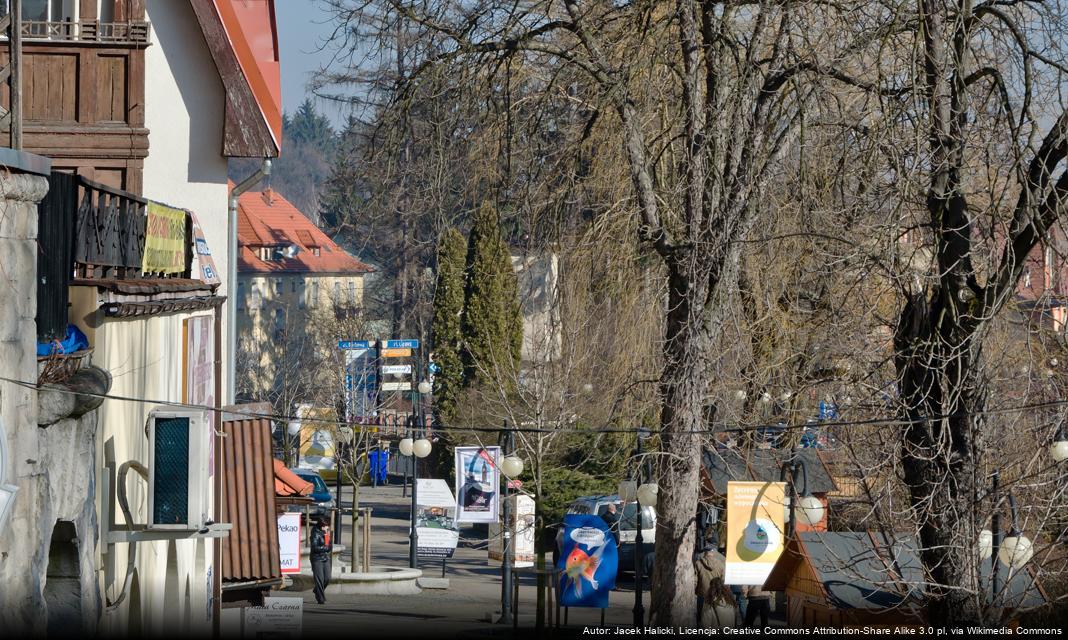 Jak pomóc mieszkańcom Polanicy-Zdroju w życiu codziennym?